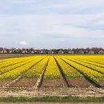 Resort Dormio Villapark Duynzicht 3*