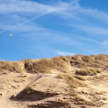 Dormio Villapark Duynzicht 3*