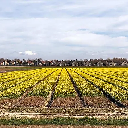 Dormio Villapark Duynzicht