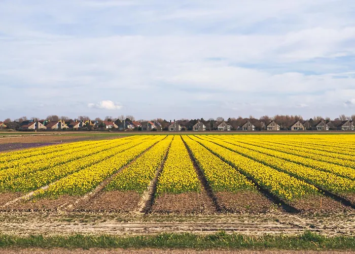 Resort Dormio Villapark Duynzicht 3*