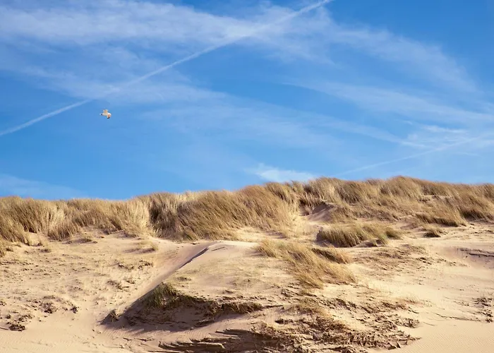 Dormio Villapark Duynzicht 3*