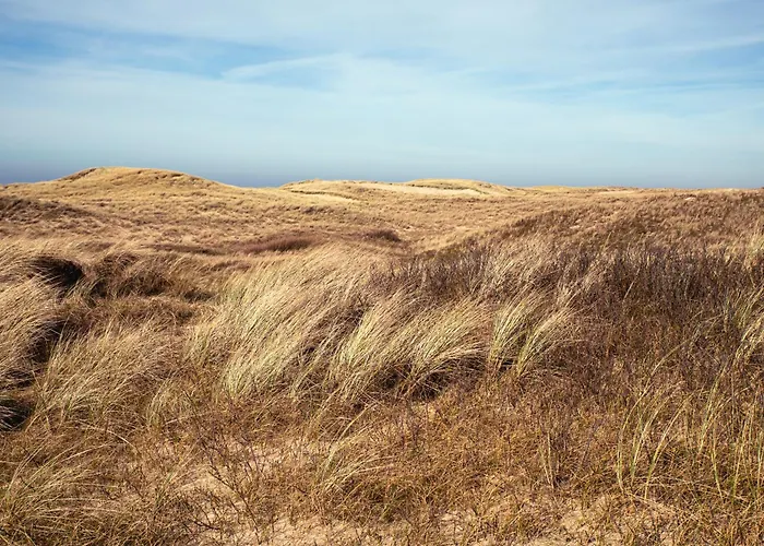 Dormio Villapark Duynzicht Julianadorp