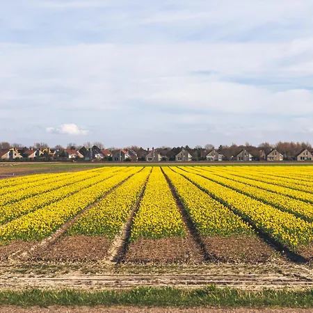 리조트 Dormio Villapark Duynzicht 3*