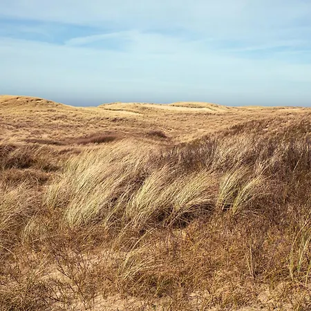 Dormio Villapark Duynzicht 줄리아나도르프